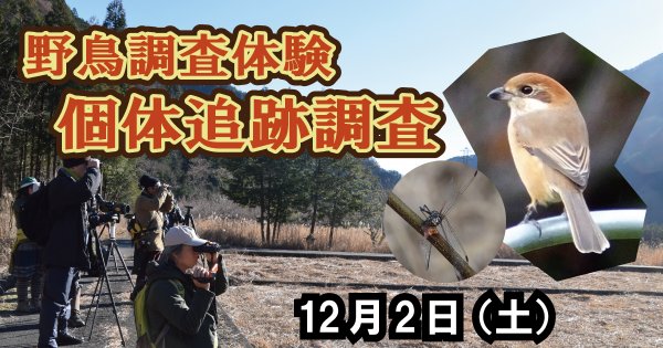 【12/2】野鳥調査体験  個体追跡調査