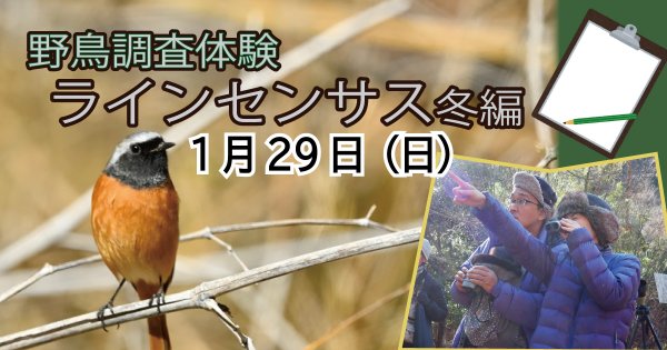 【1/29】野鳥調査体験　ラインセンサス冬編