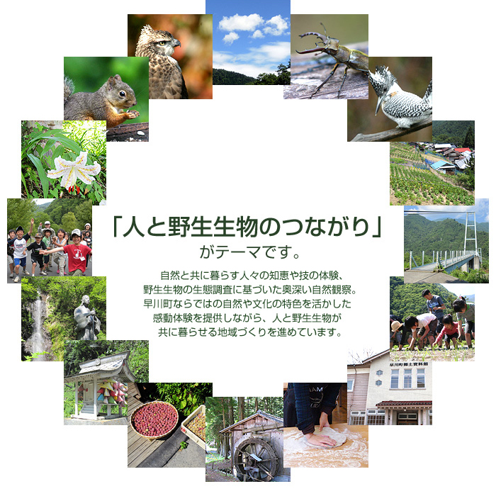 「人と野生生物のつながり」がテーマです。自然と共に暮らす人々の知恵や技の体験、野生生物の生態調査に基づいた奥深い自然観察。早川町ならではの自然や文化の特色を活かした感動体験を提供しながら、人と野生生物が共に暮せる地域づくりを進めています。