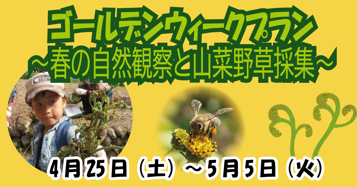 【4/25~5/5】ゴールデンウィークプラン~春の自然観察と山菜野草採集~ 【4/25~5/5】ゴールデンウィークプラン~春の自然観察と山菜野草採集~