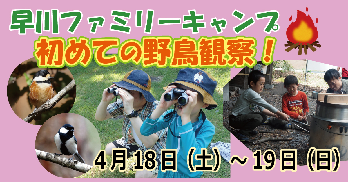 【4/18~4/19】早川ファミリーキャンプ 初めての野鳥観察! 【4/18~4/19】早川ファミリーキャンプ 初めての野鳥観察!