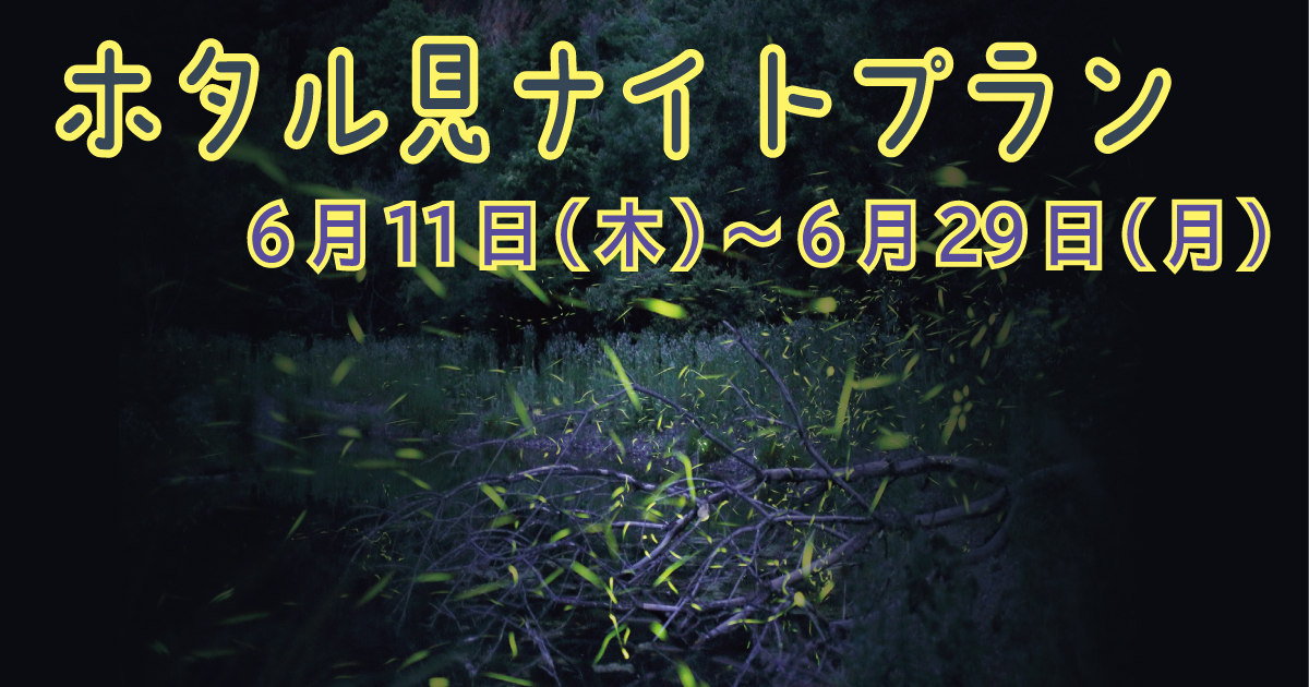 【6/11~6/29】ホタル見ナイトプラン 【6/11~6/29】ホタル見ナイトプラン