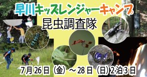 【7/26～28】早川キッズレンジャーキャンプ　昆虫調査隊